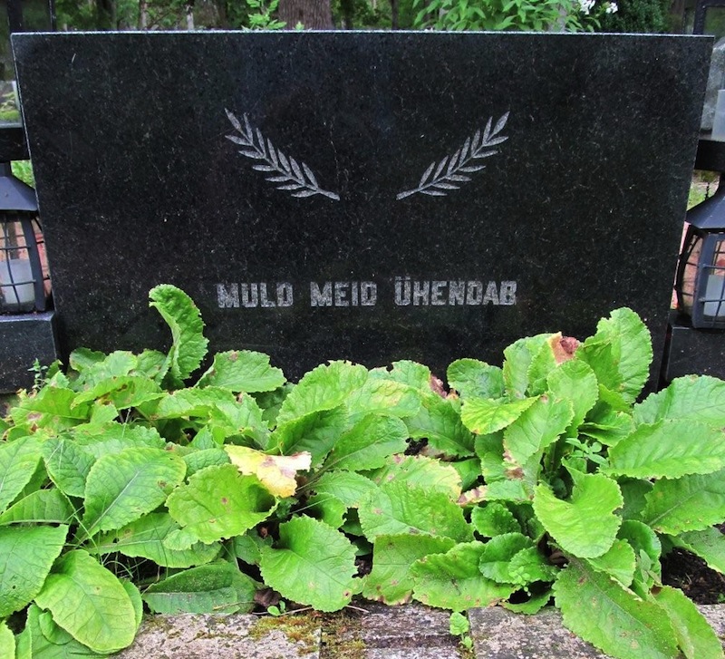 A recently discovered simple and beautiful truth inscribed on the back of a gravestone (almost like a P.S.) in Kaarma cemetery in central Saaremaa. It reads: MULD MEID ÜHENDAB. The earth, the soil connects us. In very many ways. In life and beyond. Photo by Riina Kindlam