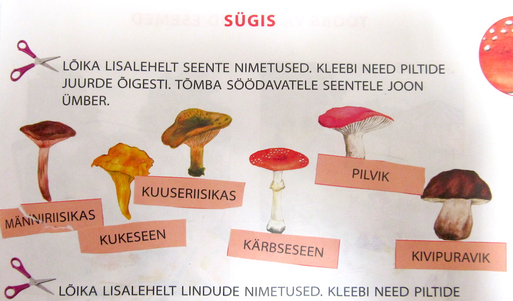 This is an exerpt from an Estonian grade 1 nature (LOODUS/TEADUS) workbook. The assignment, part of the chapter marked SÜGIS (fall), was to cut out the names of the various SEENED (mushrooms) and match them with the correct picture. If 7 year-old first graders in Eesti can identify them, so should the rest of us. Photo: Riina Kindlam