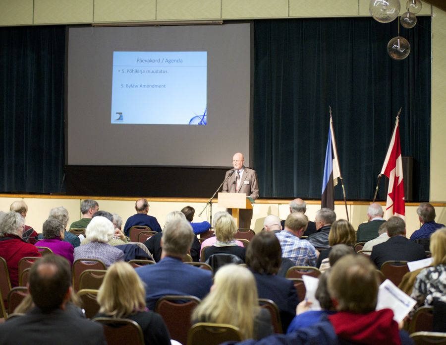 Raivo Remmel esinemas - foto: Peeter Põldre