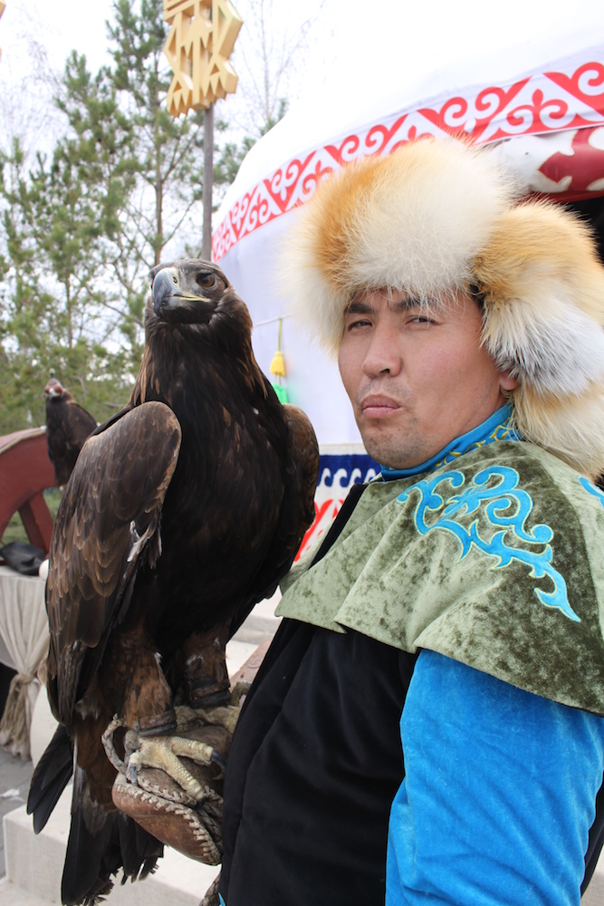 Kazakh eagle at the ethno-village ' Zheruik" with a brave and proud  Kazakh - Photograph © 2015 Ülle Baum