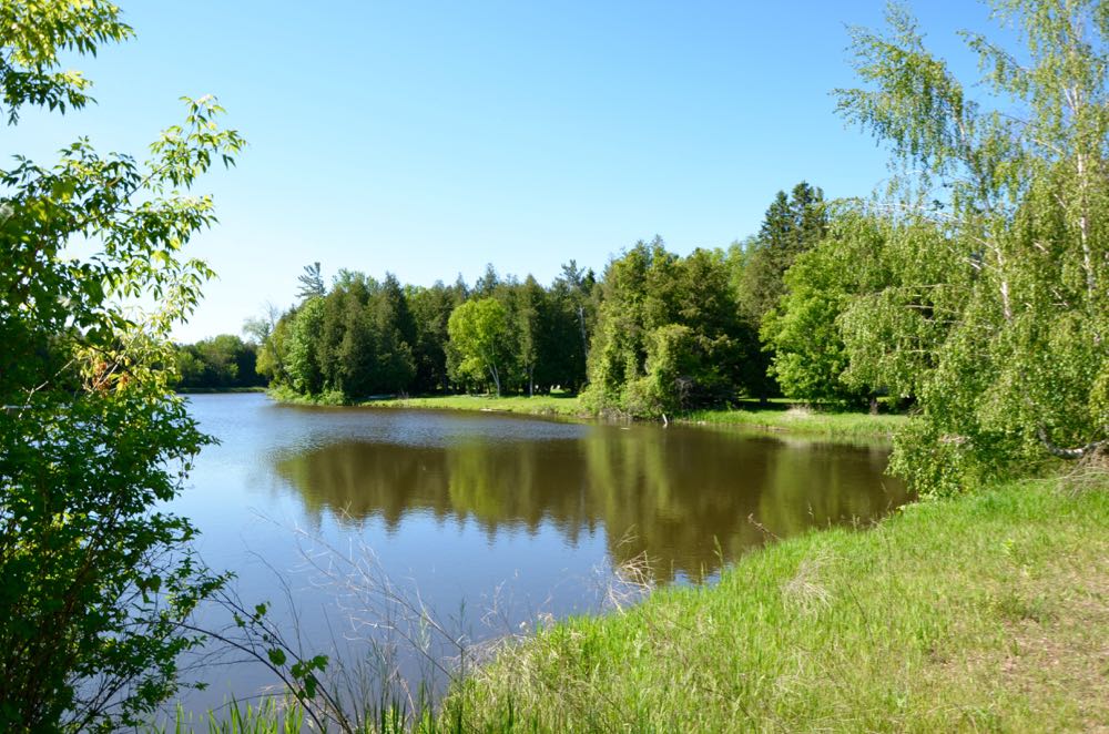 Foto: Taavi Tamtik (2015)