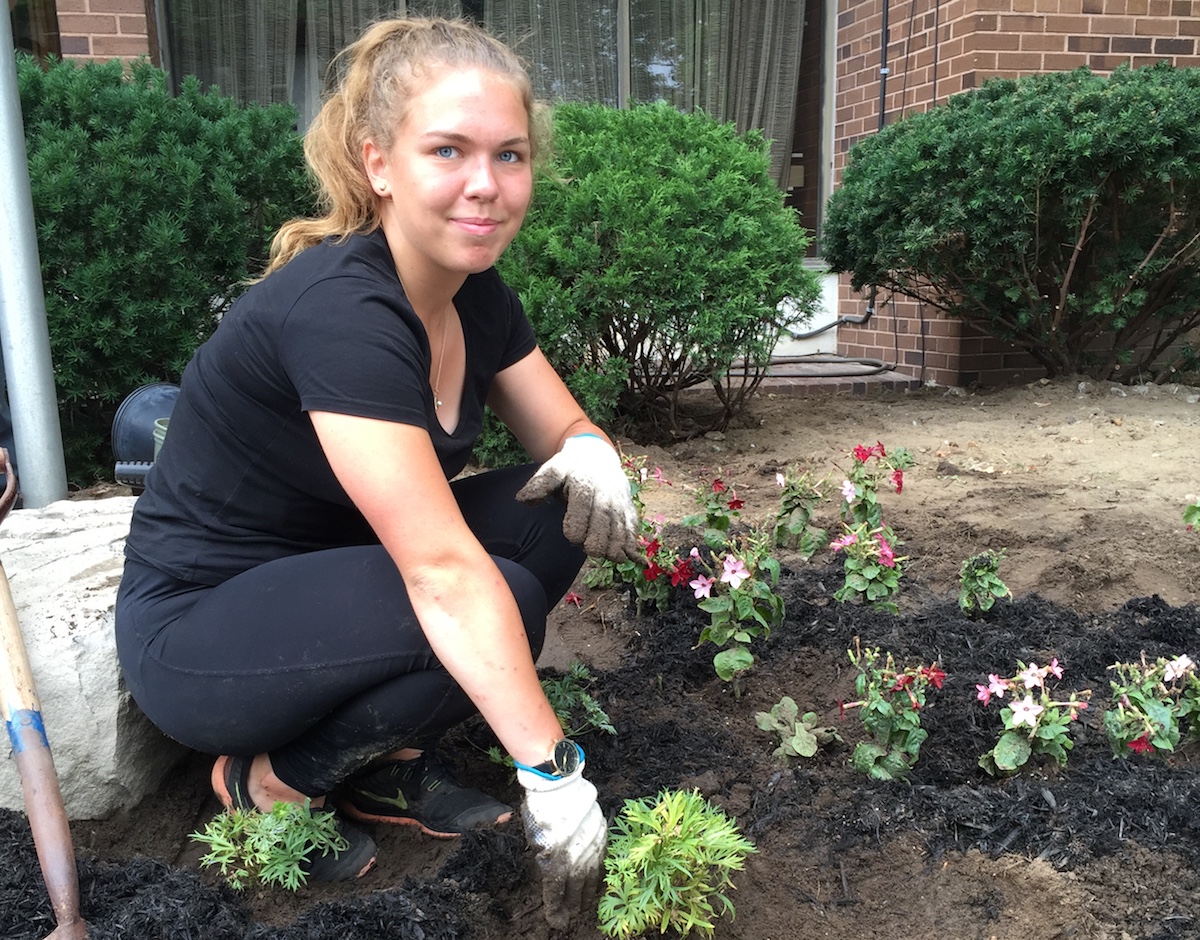 Youth volunteer Agnes Malve from Estonia planting flowers in front of the Toronto Estonian House. Agnes was a camper at Jõekääru summer camp and is here until mid-August. Photo: KM (2017)