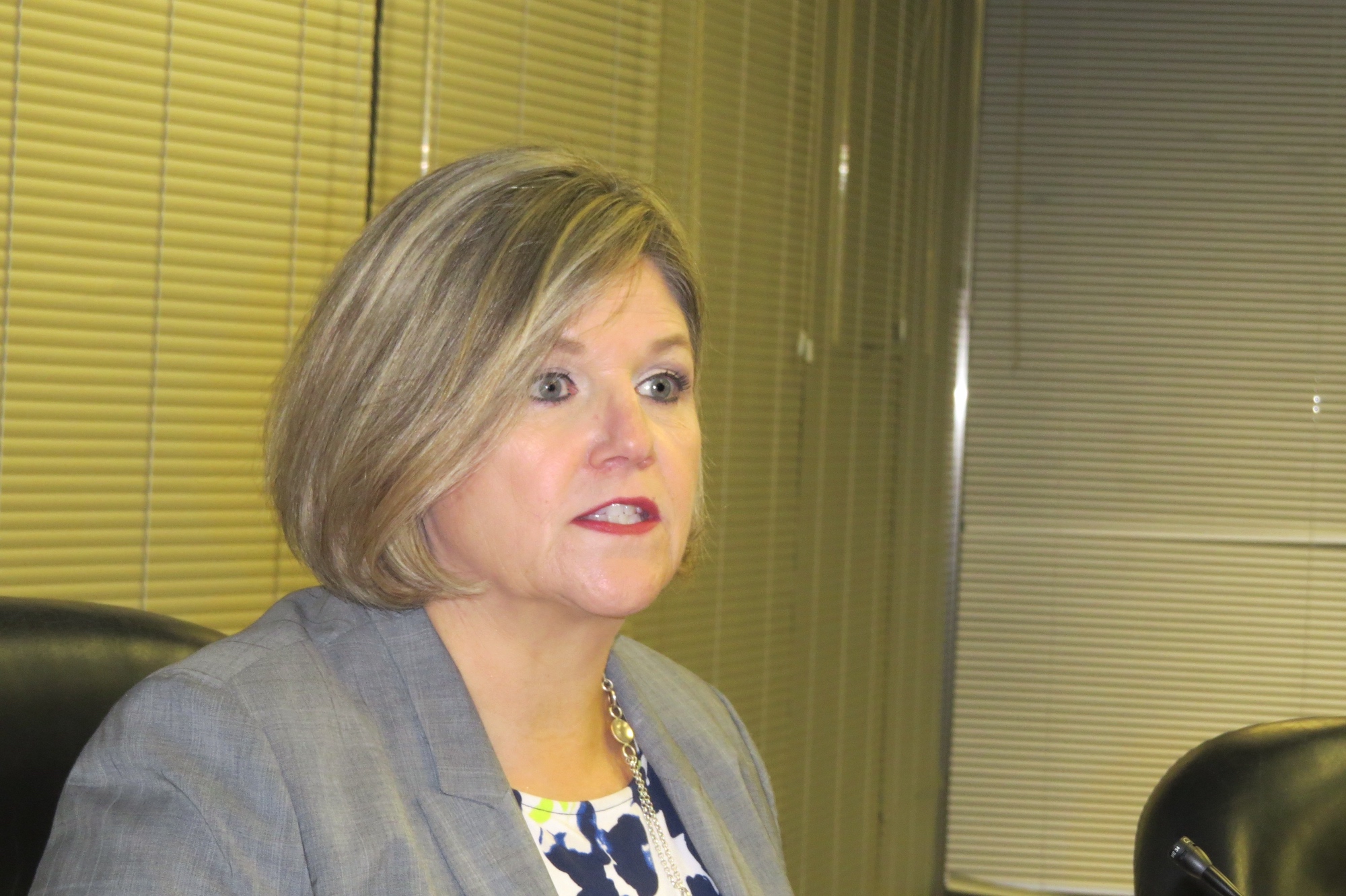 Andrea Horwath, provincial NDP leader. Photo: J.Raudkivi