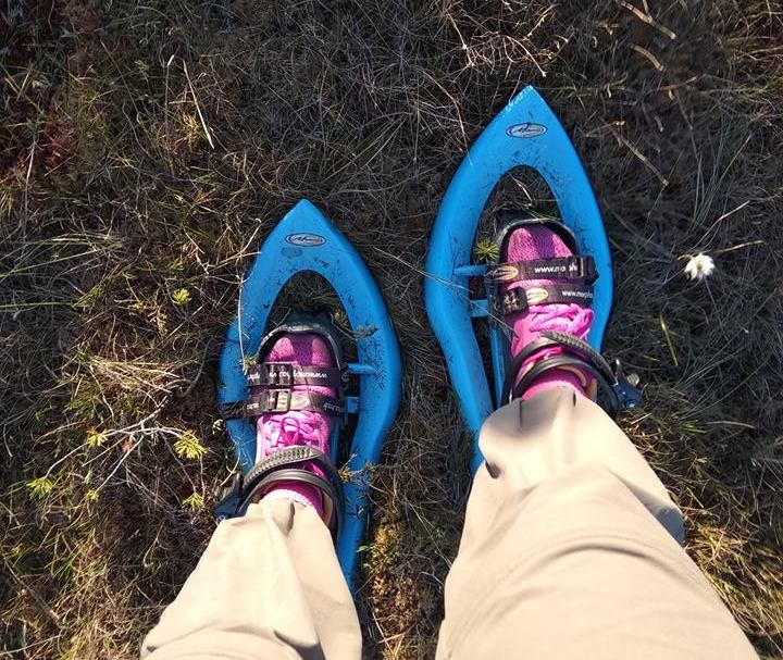 Räätsad, tänapäeval kirevast plastikust, pakuvad kindlat jalgealust rabas. Foto: Piret Kokk (2018)