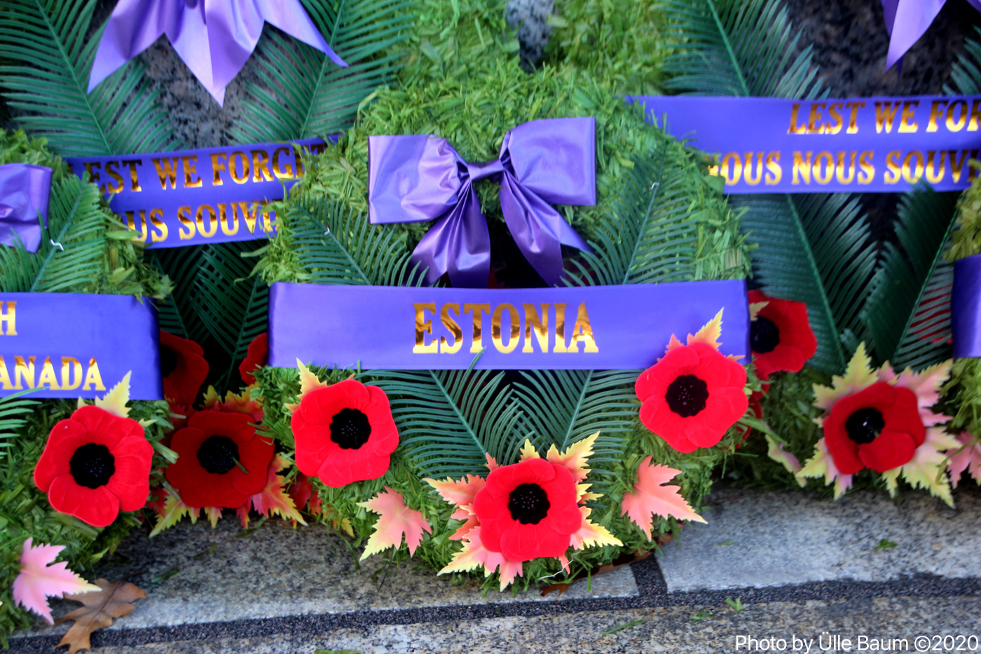 Tänavu sai seoses COVID-19 pandeemiaga ainult sada kutsutud külalist Ottawas võtta osa pidulikust Remembrance Day tseremooniast. Enamik pärgadest asetati eelnevalt monumendi juurde, nende hulgas ka pärjad suursaatkondadelt. Pildil pärg Eesti poolt. Foto: Ülle Baum ©2020