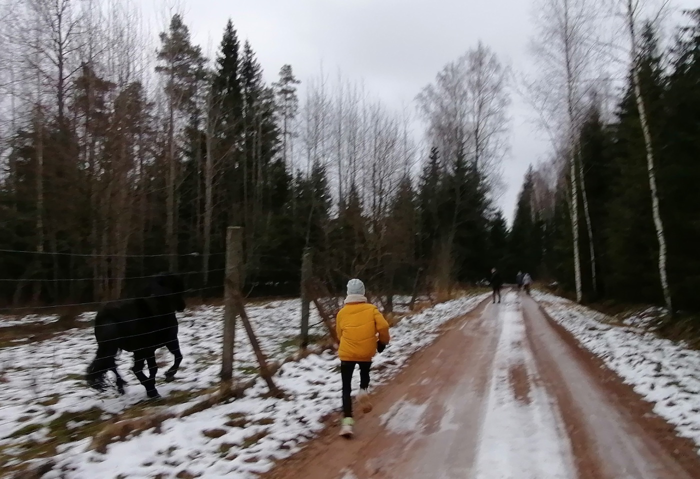 See ülesvõte ei ole tehniline meistriteos, kuid siia on jäädvustatud hulk julgustavaid, toredaid märke. On 1. näärikuu pealelõuna Mulgimaal, täpsemini endise Kõpu kihelkonna mail. Värviline pilt seletab teel lumega kõrvutatult punast lõuna-Eesti savimulda. Ainuüksi sellel viibimine on eriline. Tollel üksi elaval süsimustal hobusel on komme inimesi saata. Nii tekkiski uusaastapäeval seltskonna matkale minnes linnaplika ja maahobuse vaheline sprindivõistlus. Neiu väidab, et ei tea, kumb võitis; tema vaatas otse ette ja kappaval suksul tuli aed ette. Kuid jätkugu mõtteline sööst! Hiljem oli naaber toonud hobusele omapärast leiba (pealtnäha rootsi limpa moodi) ja neiu punus tema lakka patse. Kõik need olud ja teod tundusid väga hästi edasist uue aasta õnne kindlustavat. Foto: Riina Kindlam (2021)