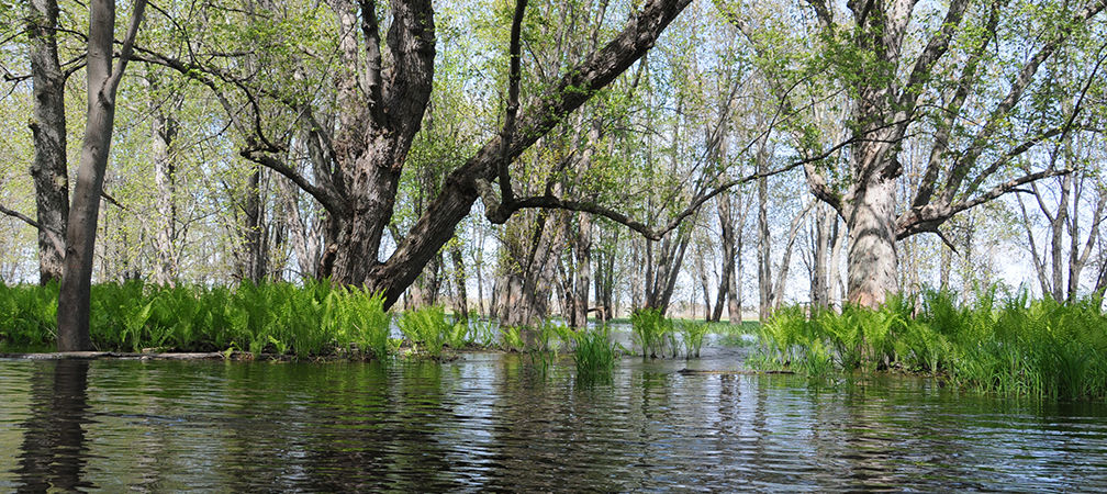 Photo: Nottawasaga Valley Conservation Authority