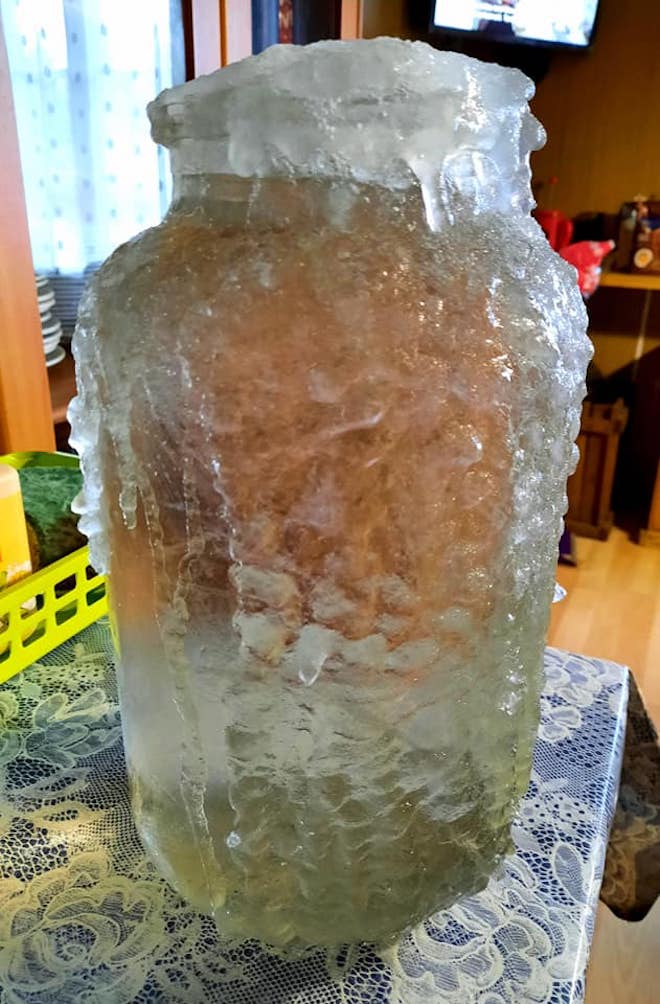 With temperatures still having dipped below zero on much of mainland Estonia last week, the *kase/mahl* (birch "juice", i.e. sap aka birch water) which overflowed from this 5 litre jar froze. It's Mihkli farm's *oma kase* (own birch's) sap from Riisipere, Harjumaa. Photo: Katrin Mandel