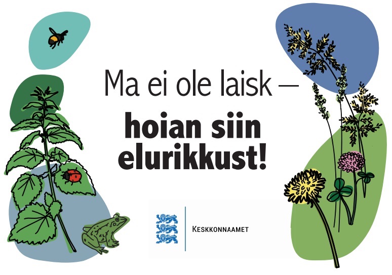Selgus, et seesamune 22. lehekuu, kui mina Saaremaal nuputasin, kuidas õrnalt seletada sugulasele, et ta võiks harvemini oma suure masinaga Mamma platse niitmas käia, oli elurikkuse päev! Elurikkus on bioloogiline mitmekesisus (*biodiversity*). Keskkonnaamet tutvustas sel puhul oma Facebooki lehel elurikkuse ja liigiriikuse säilitamise põhimõtted soovitusega niita harvem muru. Allalaadimiseks ja väljatrükkimiseks pakutakse ka juurdelisatud silti, mida oma krundile välja panna. Eks ikka, et kordaarmastavad ja uudishimulikud naabrid kindlalt teaksid: Me ei ole laisad vaid hoiame liigirikkust. Mõtle Sinagi selle peale. Allikas: Keskkonnaamet