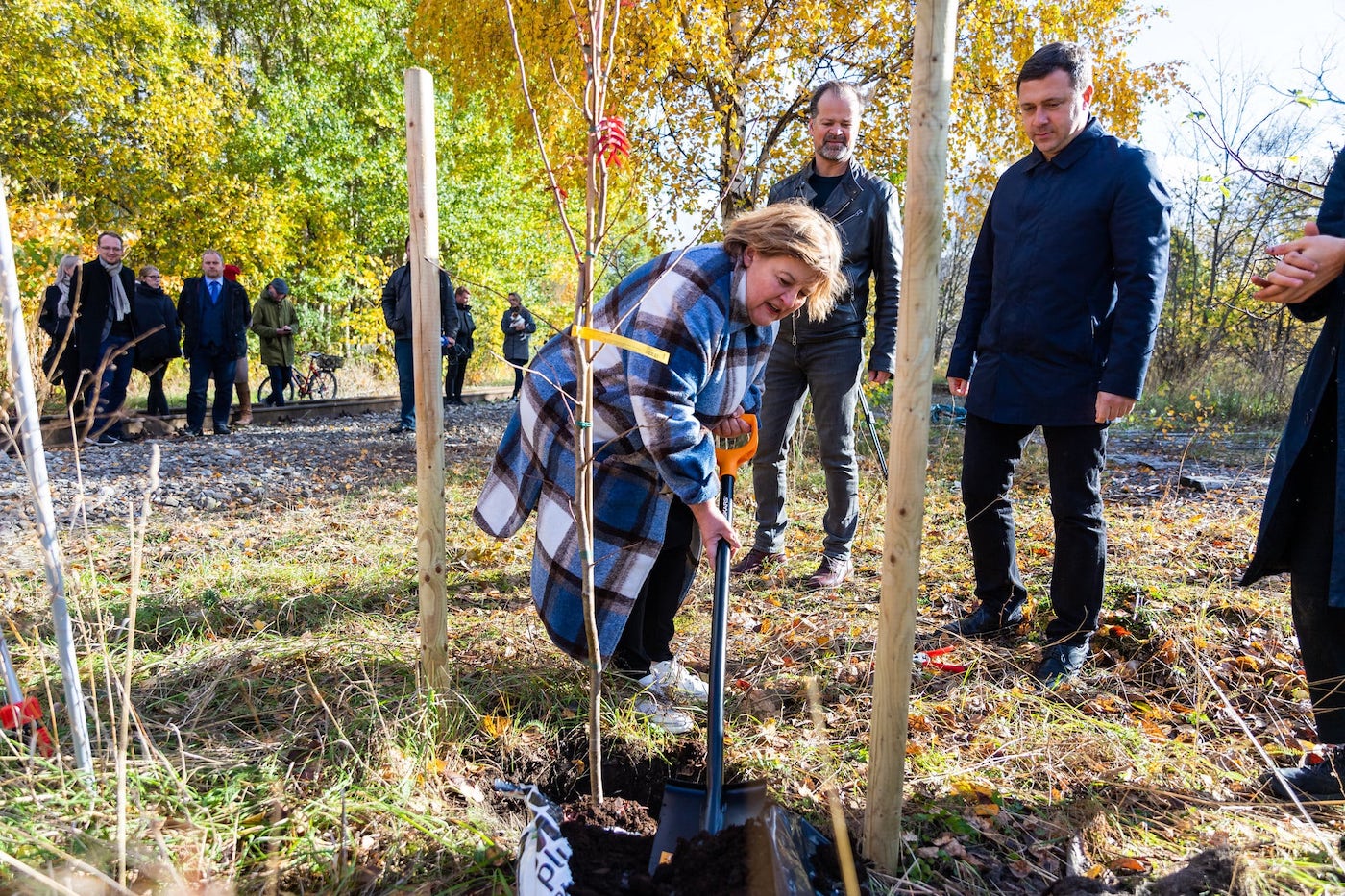 PÖFFi juht Tiina Lokk istutab oktoobrikuus avatud PÖFFi parki puud. Foto: Liis Reiman