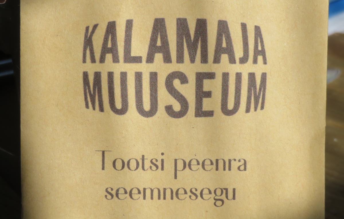 Kalamaja Muuseum asub Tallinnas Kalamaja asumis, vanalinna ja mere vahel. Oskar Lutsu aegumatu lühi-romaani ,,Kevade“ Joosep Toots külvas peenart Paunveres (Palamusel). Sina võid seda teha, kus iganes süda ihkab. Foto: Riina Kindlam