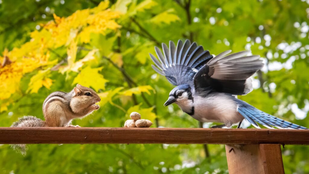 Photo by Steve Bonisteel from Unsplash.com