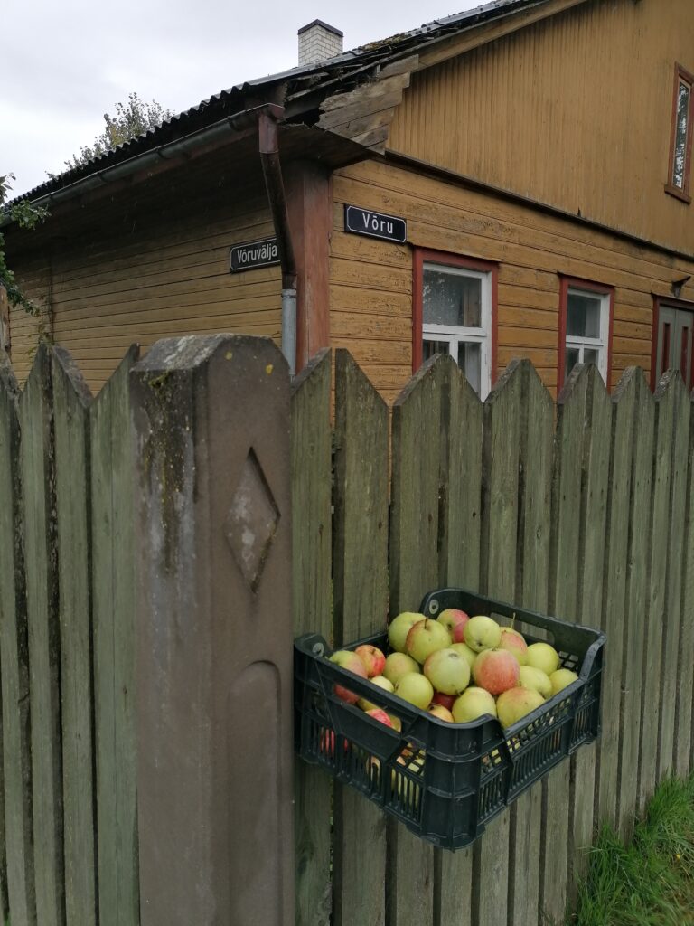 Õuna lahkus Võru maanteel Tartus. Fotod: Riina Kindlam