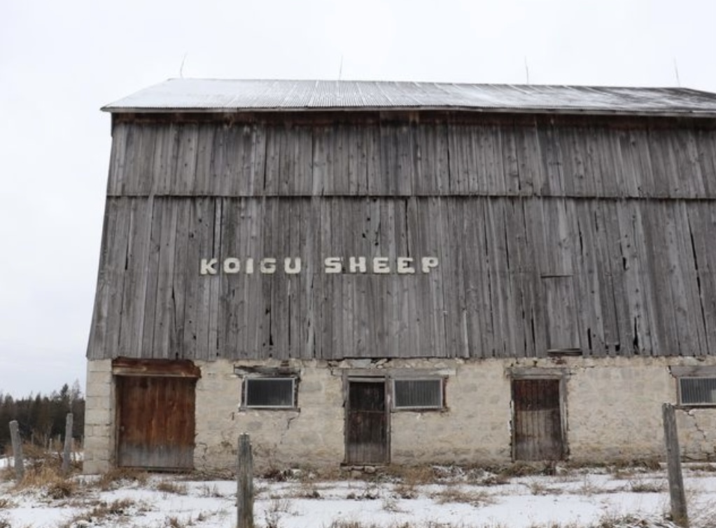 The barn on the Koigu farm in Dornoch, Ontario.