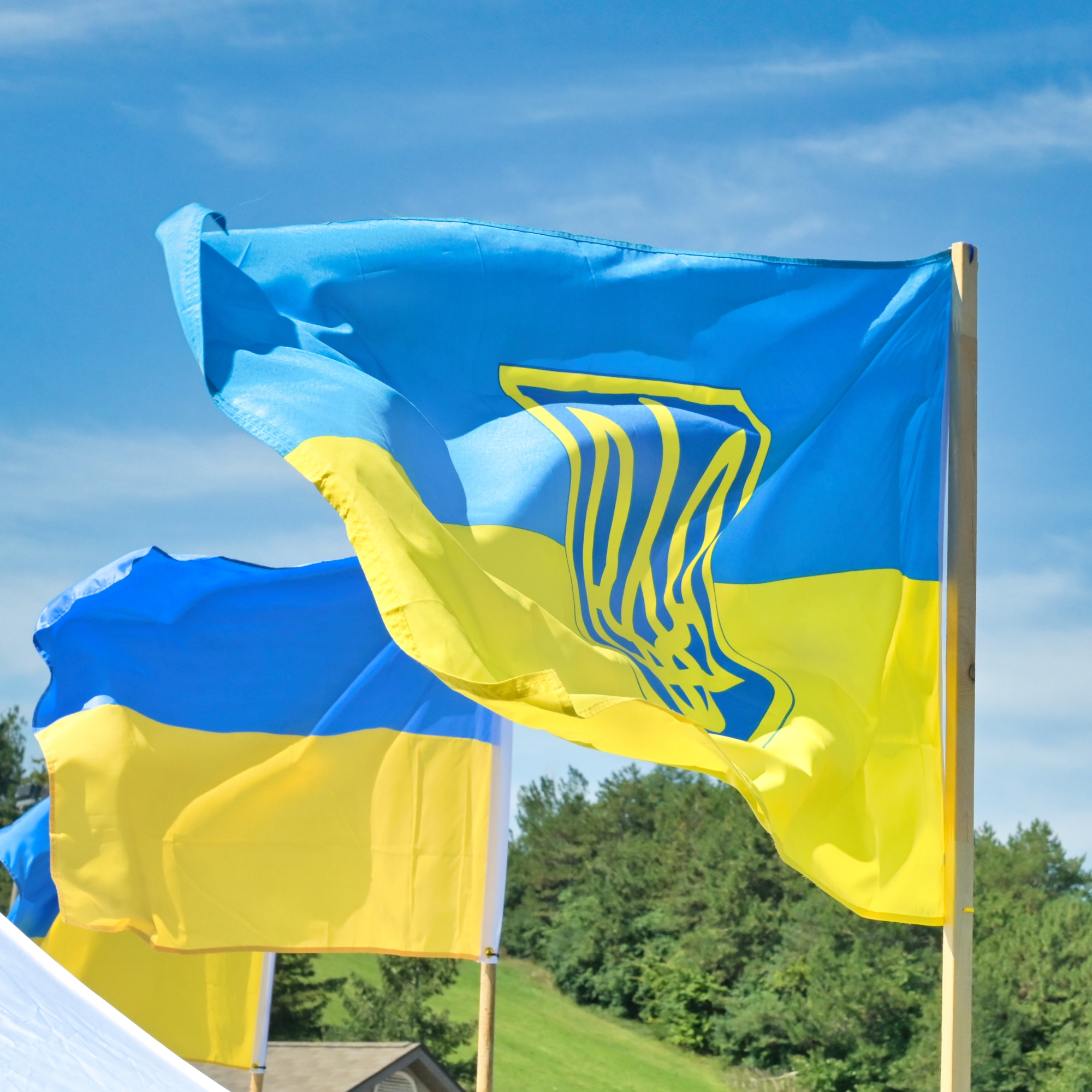 Gallery Ukrainian Independence Day, Etobicoke Eesti Elu