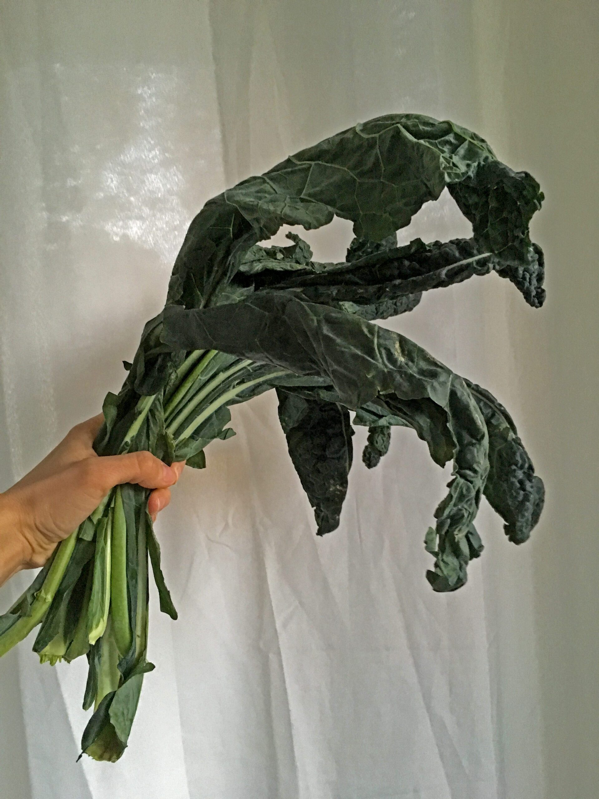 Hoiusta salatilisi õigesti, et vältida nende närbumist.