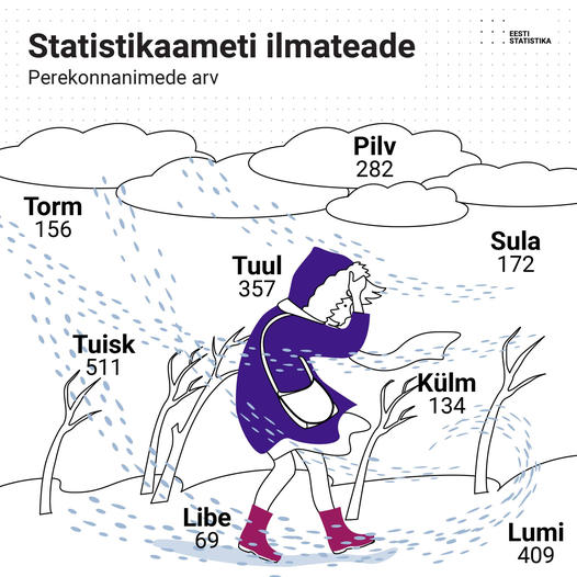 23. novembril avaldas Statistikaamet oma Facebooki lehel järgmise pildi ning kirjutas: ,,Ega tali taeva jää! Statistikaamet hoiatab tormi, tuisu ja lume eest – väljas liikudes ei tea kunagi, kas vastutulija just sellist perekonnanime ei kanna. Tasub olla eriti ettevaatlik, sest on tugev tuul, palju lund ja salakavalalt libe. Meie ilmaennustuse järgi on kõige levinum perekonnanimi Tuisk, seda nime kannab Eestis 227 meest ja 284 naist. Veel põnevaid nimesid leiad siit...“ (pilt: Statistikaameti Facebooki lehekülg)