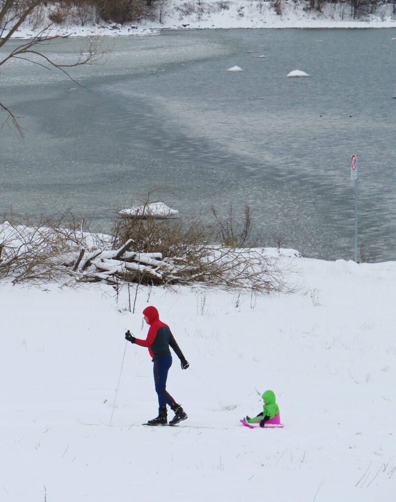 Jääteke merel vajab tuulevaikust. 3. jõulukuul see rahu saabus ning oli huvitav jälgida, kuidas Paljassaare lahe sopis arenes mitmes järgus vee tahenemine jääks. Kõnniteedel, mida Eestis ei sulatata soolaga paljaks, on tavanähtuseks lapsevanemad, kes väikekodanikke kelkudel lasteaeda sõidutavad. Fotol on tabatud kaks ühes: lapsele lust ja isale trenn ühe suusakepi ja kalli koorma tirimisega. Foto: Riina Kindlam