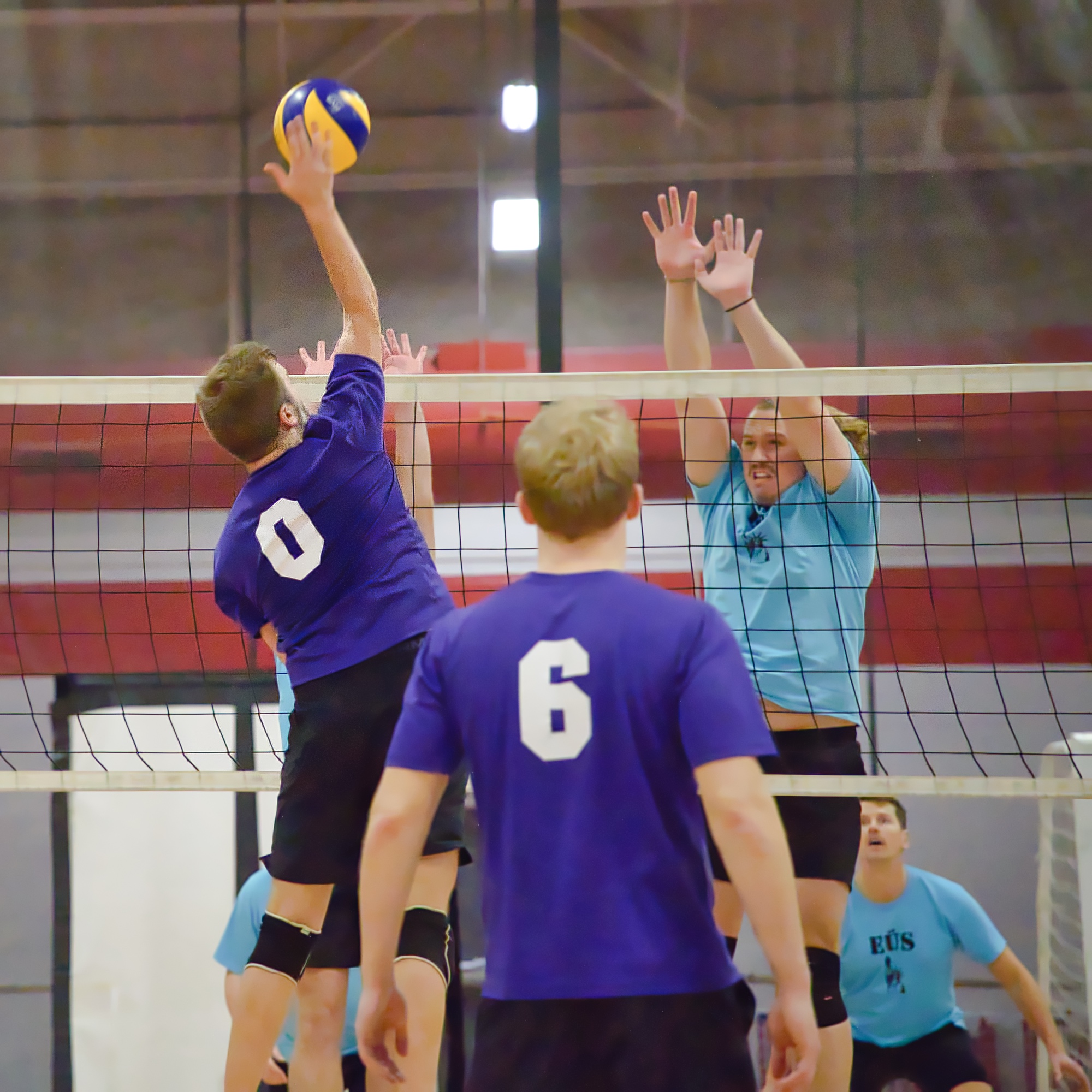 Gallery The 2024 Estonian Volleyball Tournament Eesti Elu   Z24 5878 1 