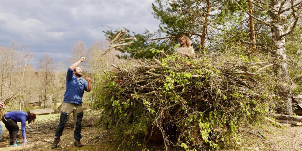 Aprilli lõpus kogunes 25 osalejat viiest eri riigist töötuppa, et koos ehitada musta-toonekure (stork) pesa. Toonekured just selliseid töövõtteid (omavahel okste loopimist) ei kasuta. Linnud võisid varitseda läheduses ja vaikselt itsitada. Pesad (neid on avastusretkel mitmeid) jäävad külastajatele avatuks kuni septembri lõpuni ning neid saab külastada Maailma Maaliini kunsti-retkede raames või iseseisvalt. Foto: Danel Rinaldo, Maailma maaliin FB