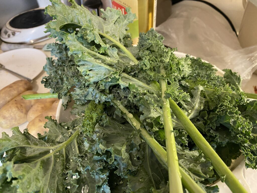 Washing and tearing the kale