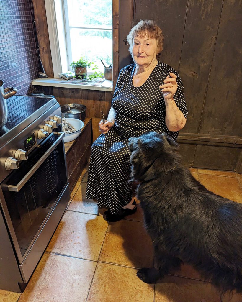 Helmi Kukk õpetab mulgi pudru valmistamist. Koer Muta hoiab kogu tegevusel silma peal. Foto: Merike Koger