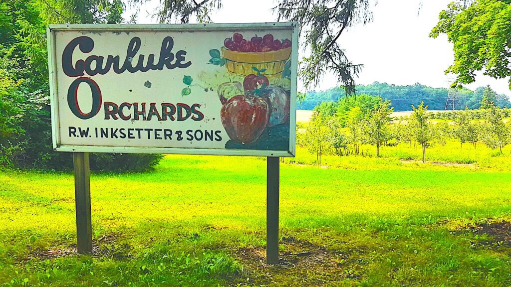 source: carlukeorchards.ca