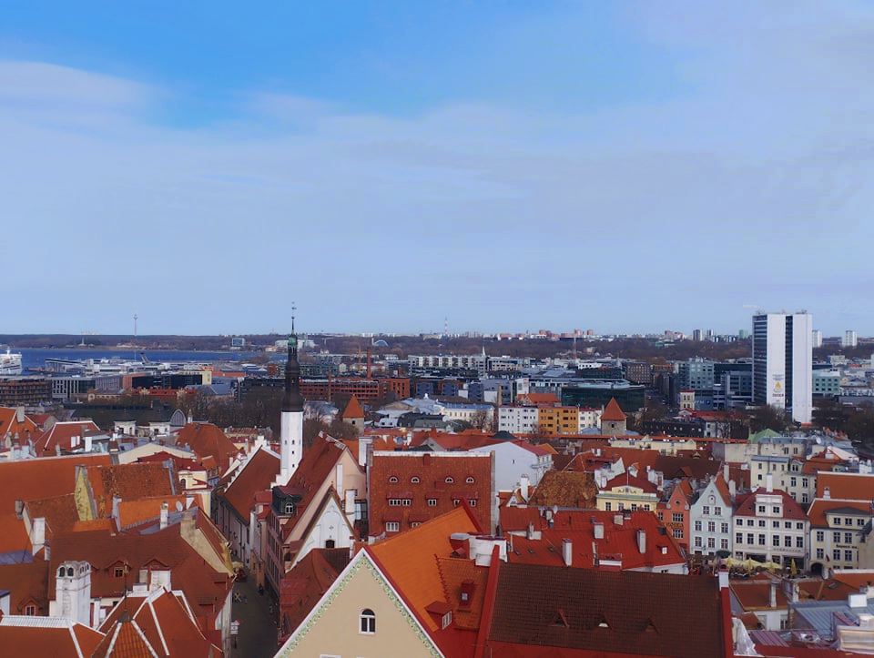 A view from one of Tallinn’s Old Town rooftops, showcasing the iconic red-tiled roofs and medieval architecture against a modern cityscape backdrop (photo: Jerry Mercury)