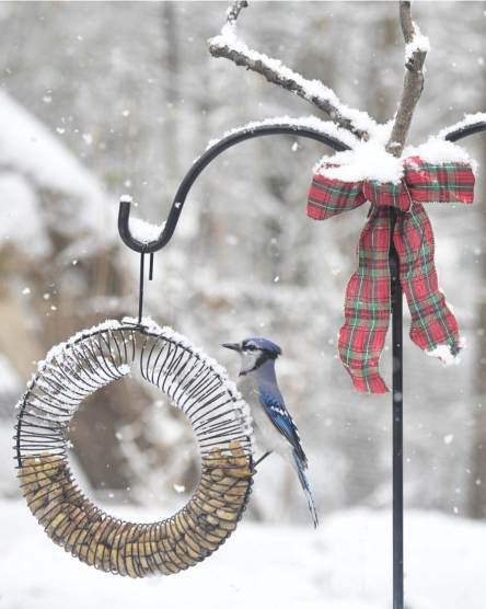 The weather outside can be frightful, but the photos will be so delightful