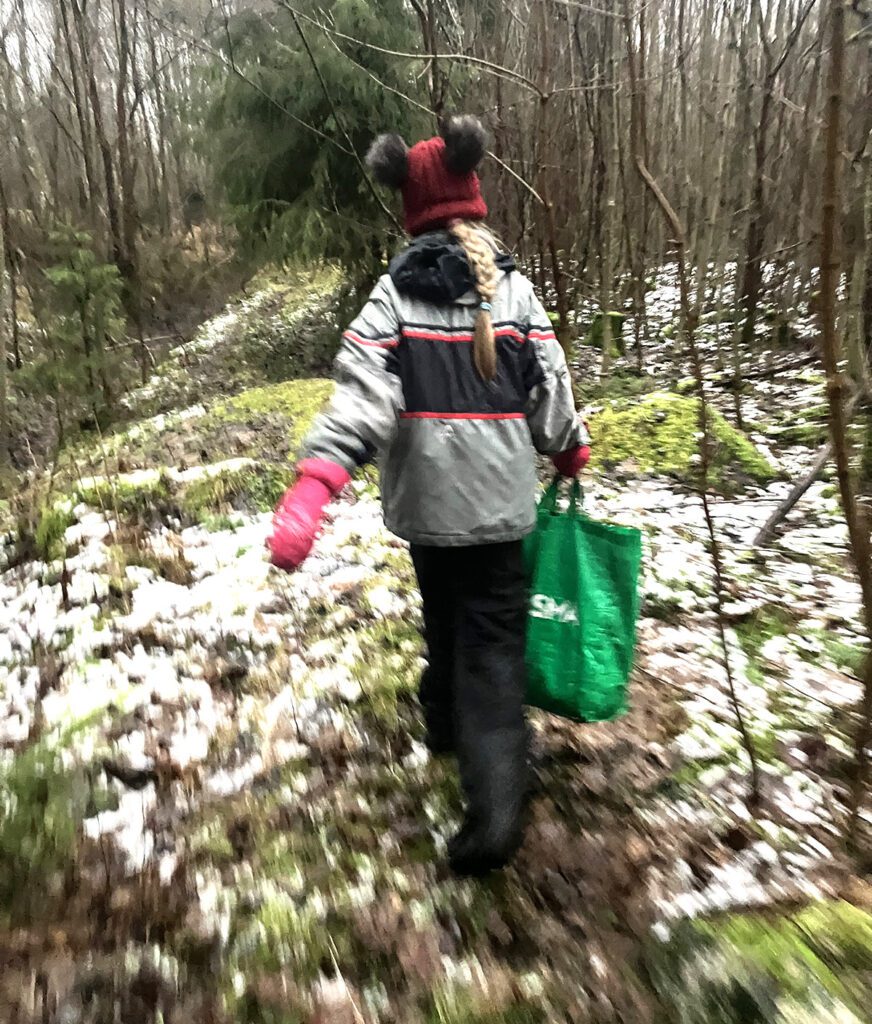 See hetk on tiba udune, kui ujuks... muinasjutt. On see päris päkapikulaps või jänku-klutt? Ta nimi Ele, näed ju – hele lumi maas ja kõrvakerad peas. Vilund punamütsikese nupp, kes vahel viib, siis toob. Käbid kähku vanaemale – s'est saagu aurav käbi-klimbisupp!