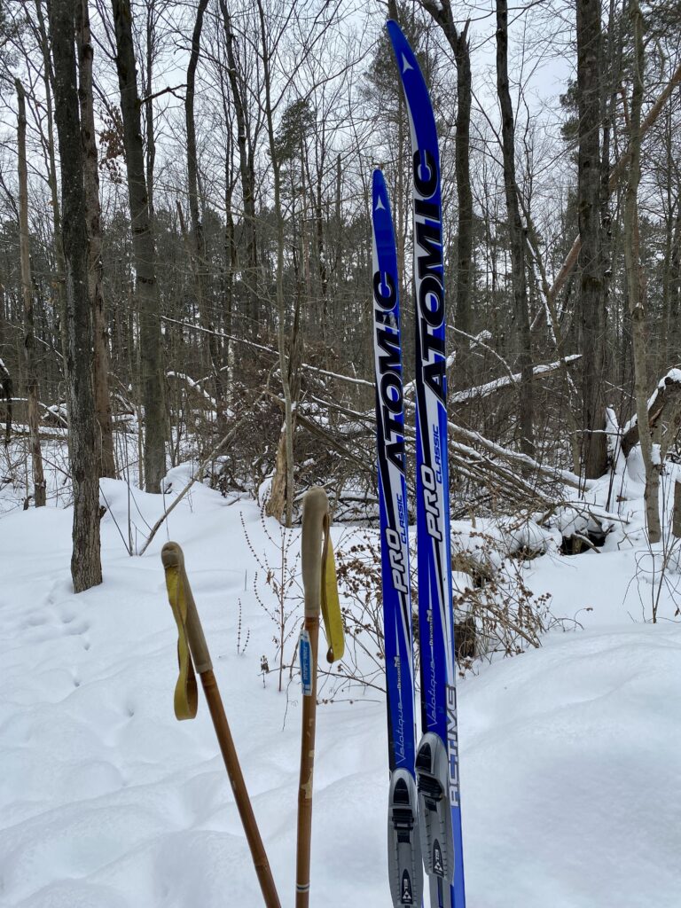 The poles and skis all ready for action