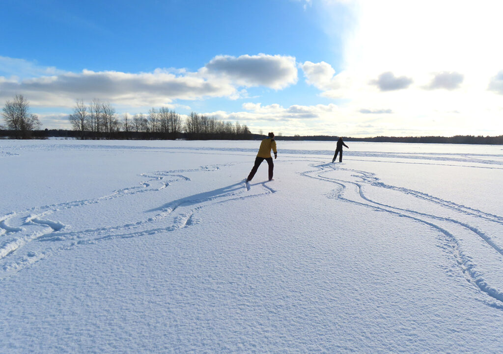 Jalas ei ole suusad, vaid uisud, sest lume all on sile jää. Hetk on tabatud 15. hundi/kuul (veebruaril) Vaida poldril Tallinnast umbes 20 km lõunas. POLDER (hollandi sõna, ka inglise keeles polder) on kuivendatud maa-ala (dried, reclaimed for agriculture), kust üle/liigset vett (excess water) pumbatakse välja. Siin enam ei pumbata, selle/pärast saabki õnne/hetkedel uisutada. Foto: Riina Kindlam