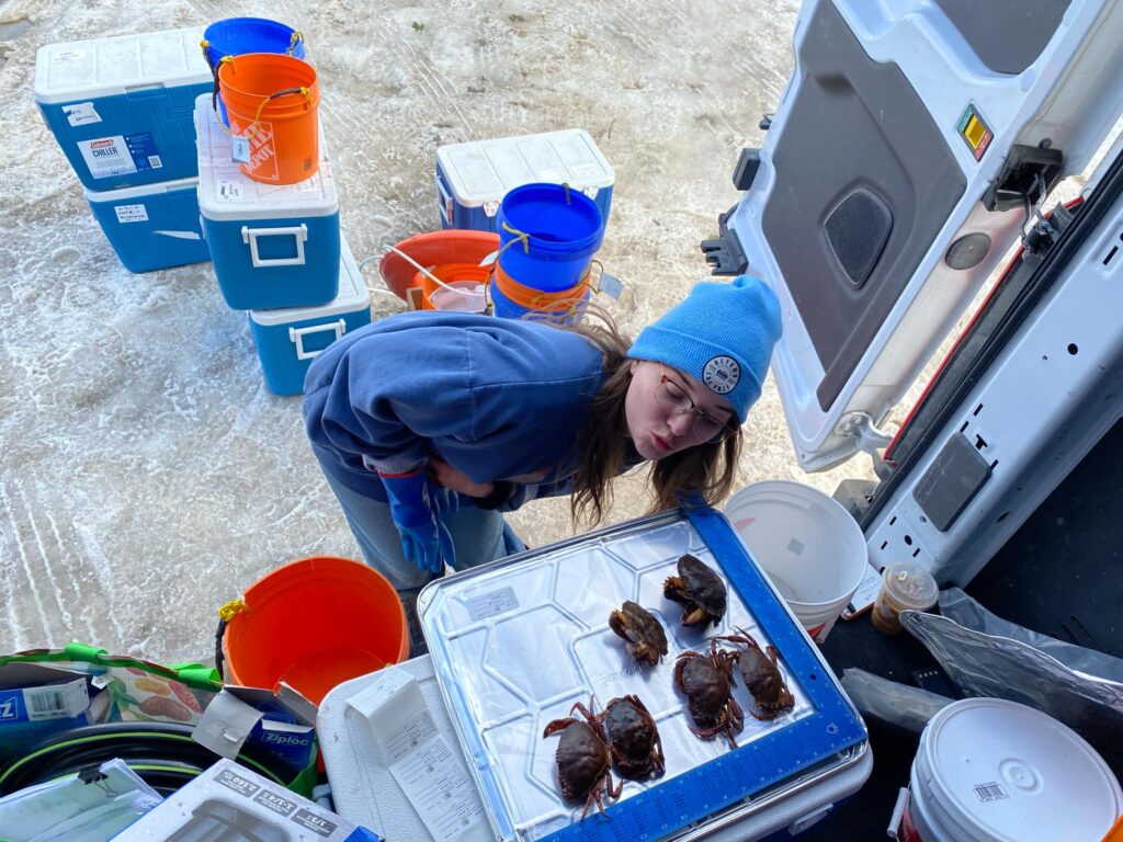 Seliina working with GHD in Newfoundland