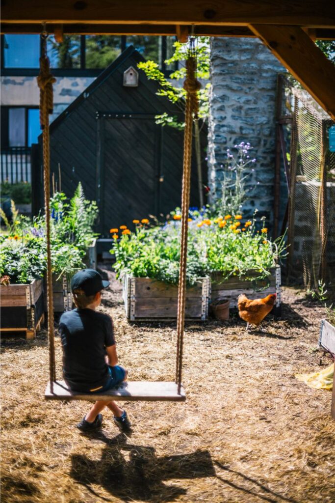 A child on a swing in the community garden at Põhjala Tehas, with a rooster nearby (photo: Glidephotos)