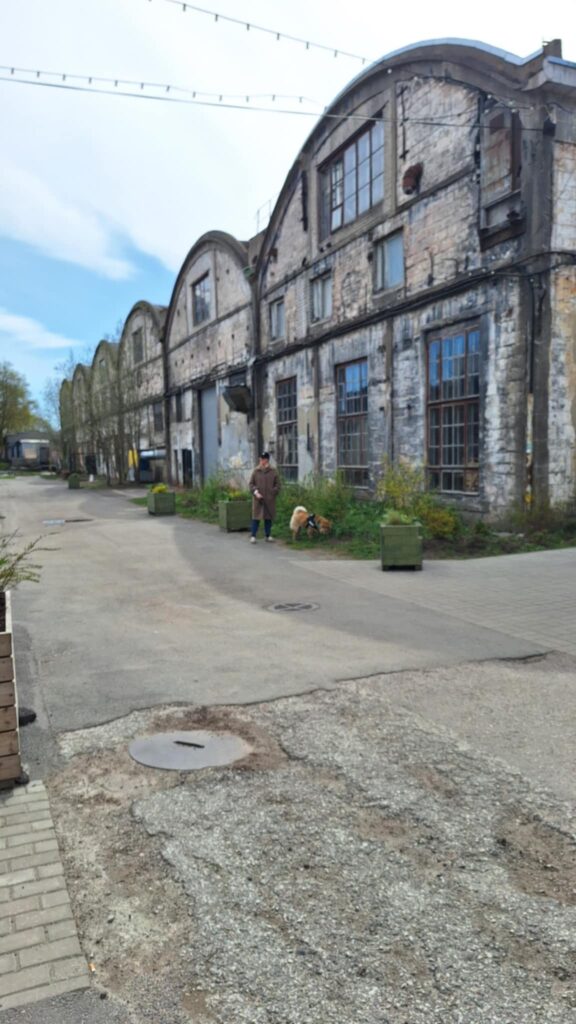The outside of the "hangars"
