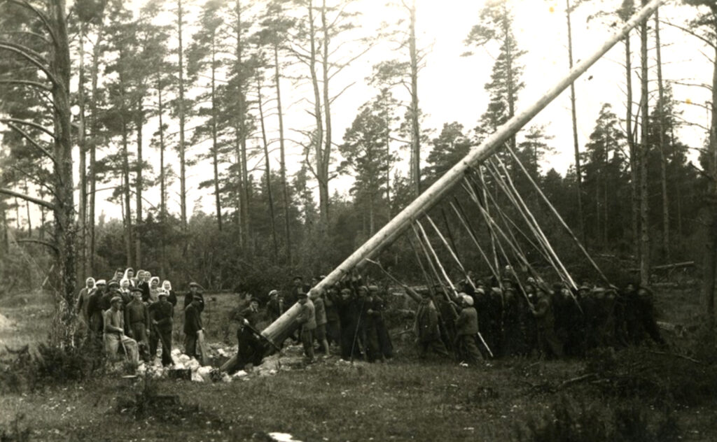 Elektrifitseerimine Valjalas. Liiniposti püstitamine 1947. aastal. Foto: Saaremaa Muuseum SA, ajapaik.ee