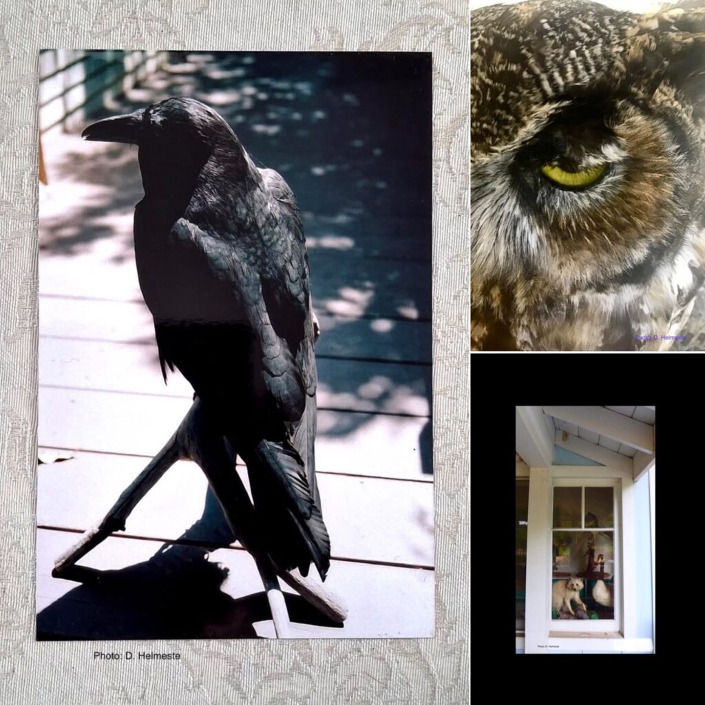 Photos by Daiga Helmeste