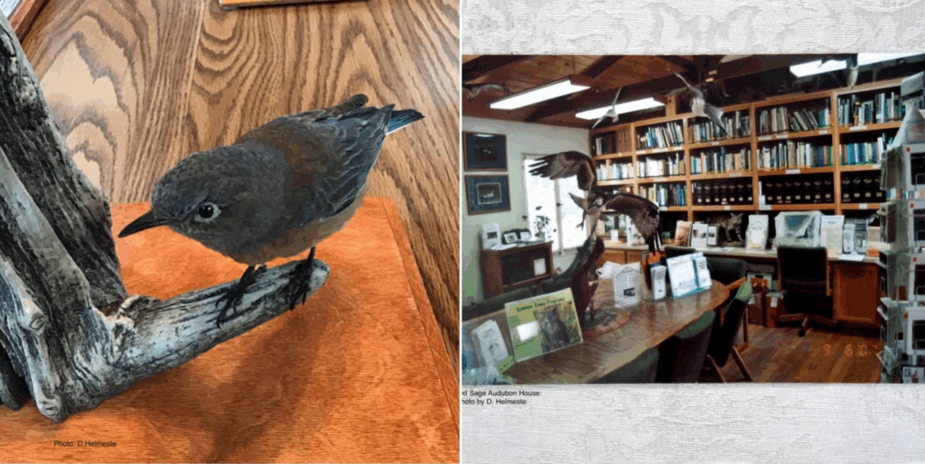 Photos by Daiga Helmeste