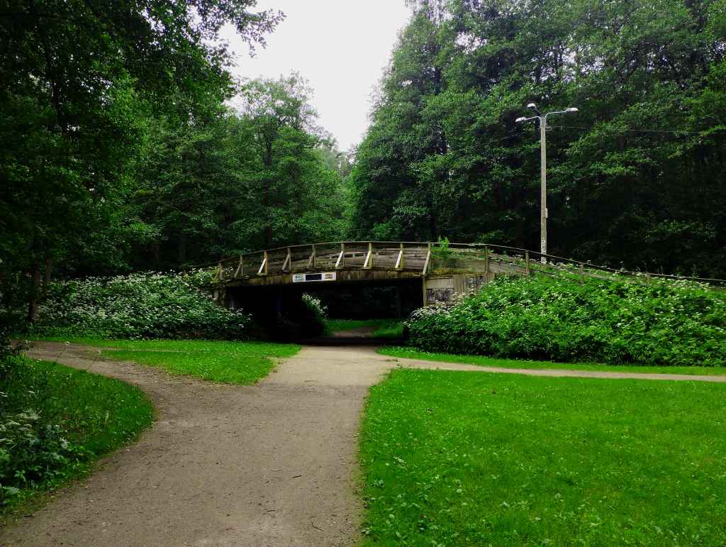 A bridge in Glehn Park, its wooden railing gently curved, echoing the hull of an upturned boat (photo: Jerry Mercury)