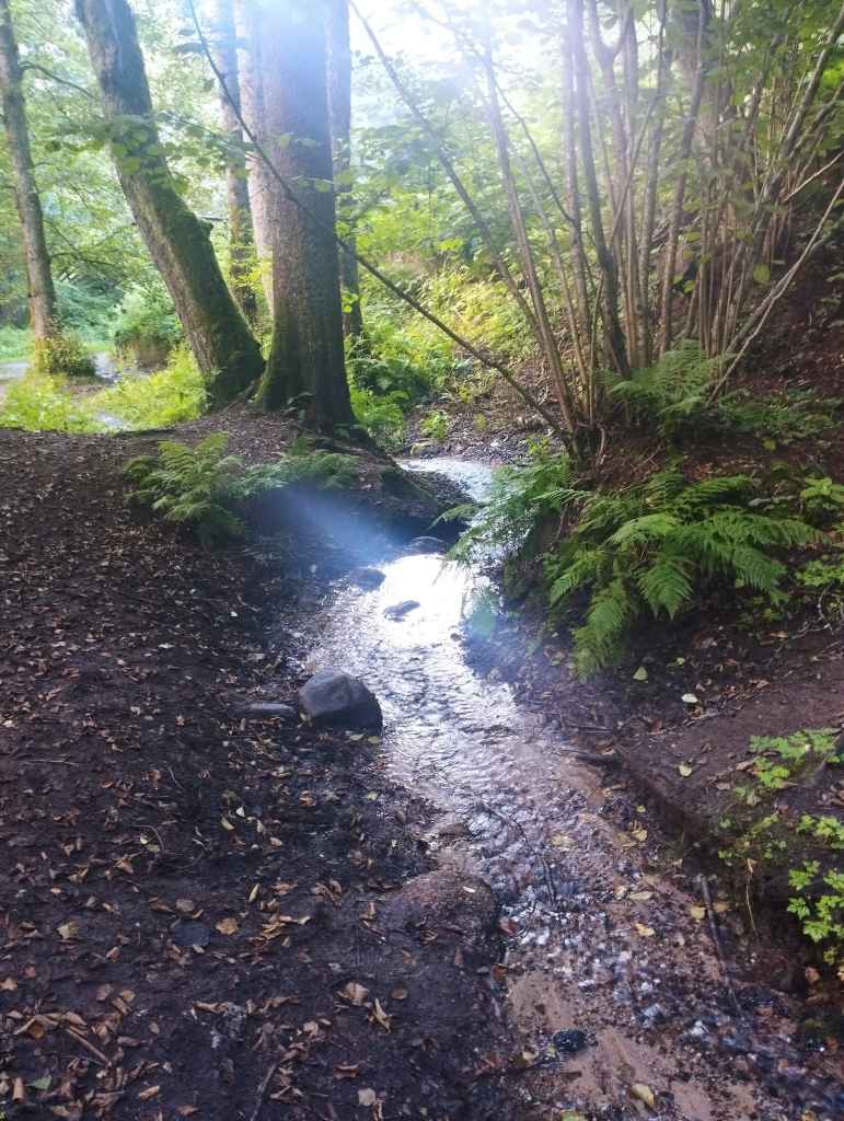 The Spring of Joy (Rõõmuallikas), nestled in Glehn Park (photo: Jerry Mercury)