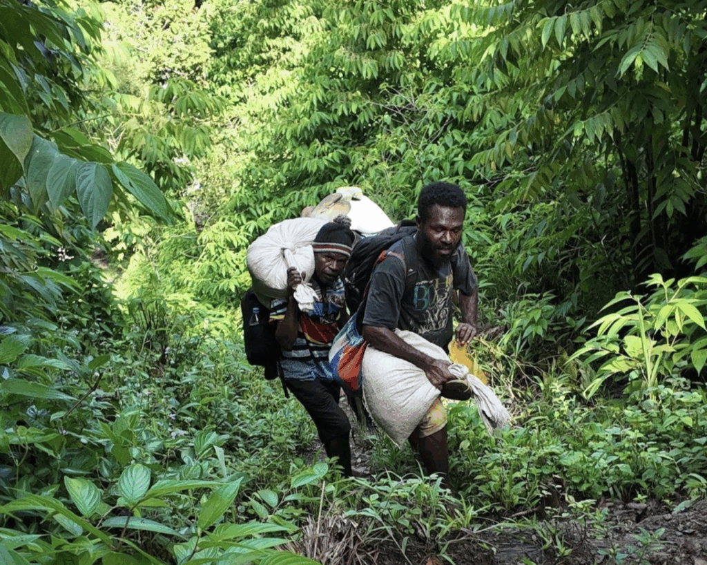 Workers carrying the beans down the mountain
