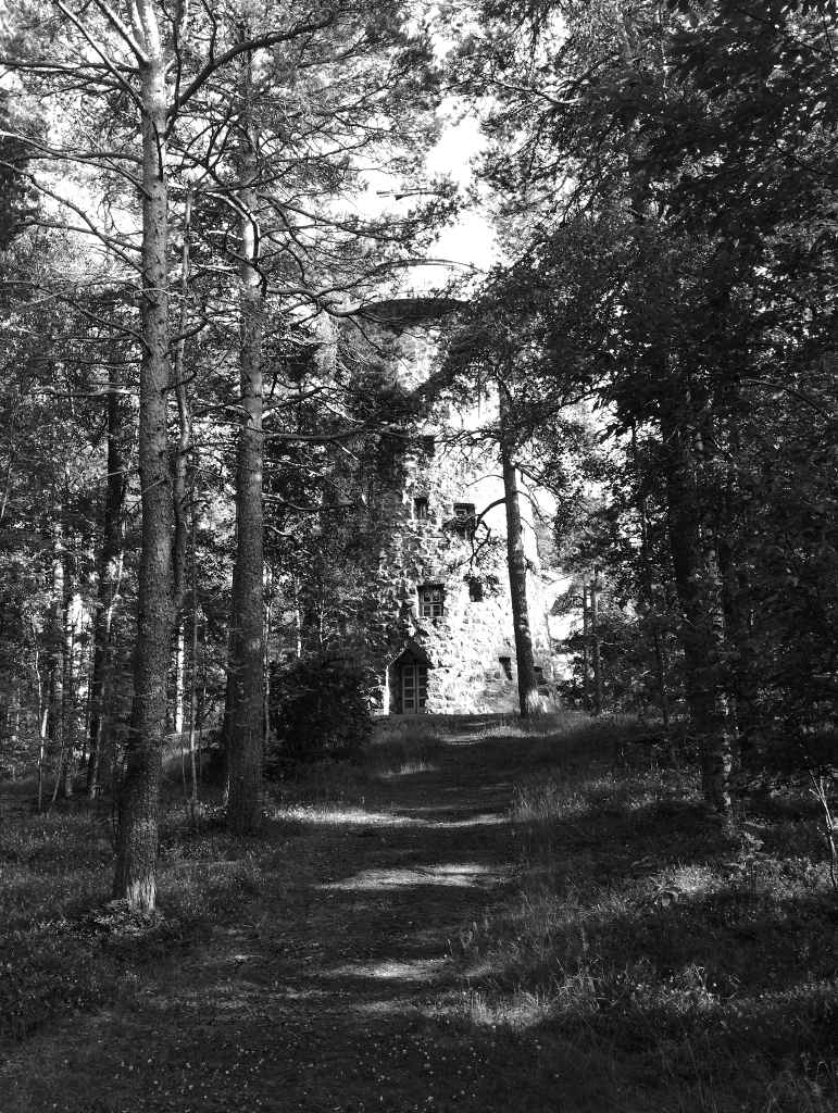 Approaching the stone tower through the woods of Glehn Park (photo: Jerry Mercury)