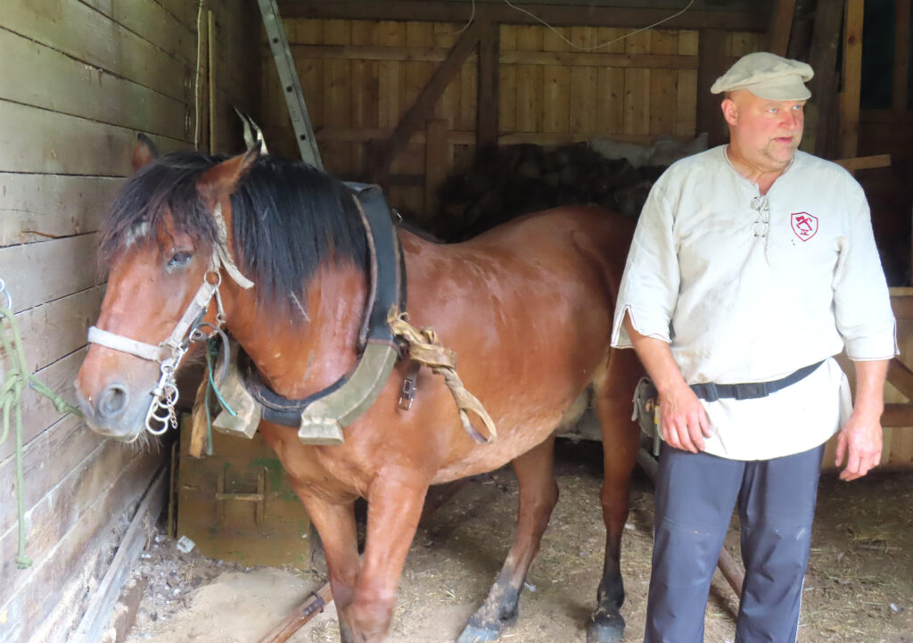 Maalt ja hobusega – just nii! Aare ja ohjasid valdav Priit-Kalev Parts näitasid ette loogarakendi rakendamist ja pakkusid vankril lõbusõitu ka. Foto: Riina Kindlam