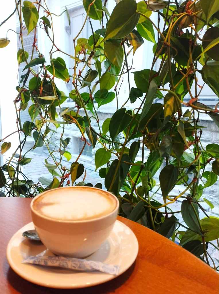 A cup of coffee by the window facing Müürivahe Street, with climbing green plants in the background (photo: Jerry Mercury)