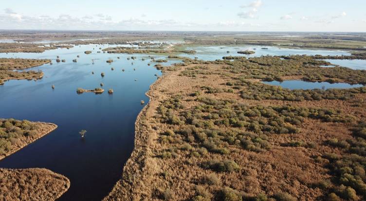 The view from Kloostri Observation Tower (photo from the RMK.ee homepage)