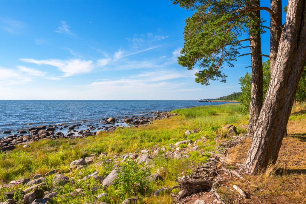 A view of the rocky Estonian coastline, where the land is physically emerging from the Baltic Sea at a rate of up to 3.5 millimetres per year (source: ArcGIS StoryMaps)