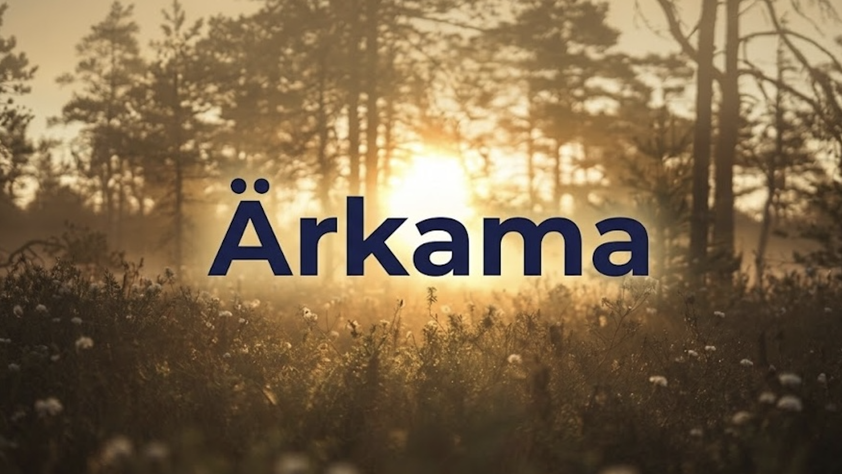 Original photo (before text) by Janek Valdsalu